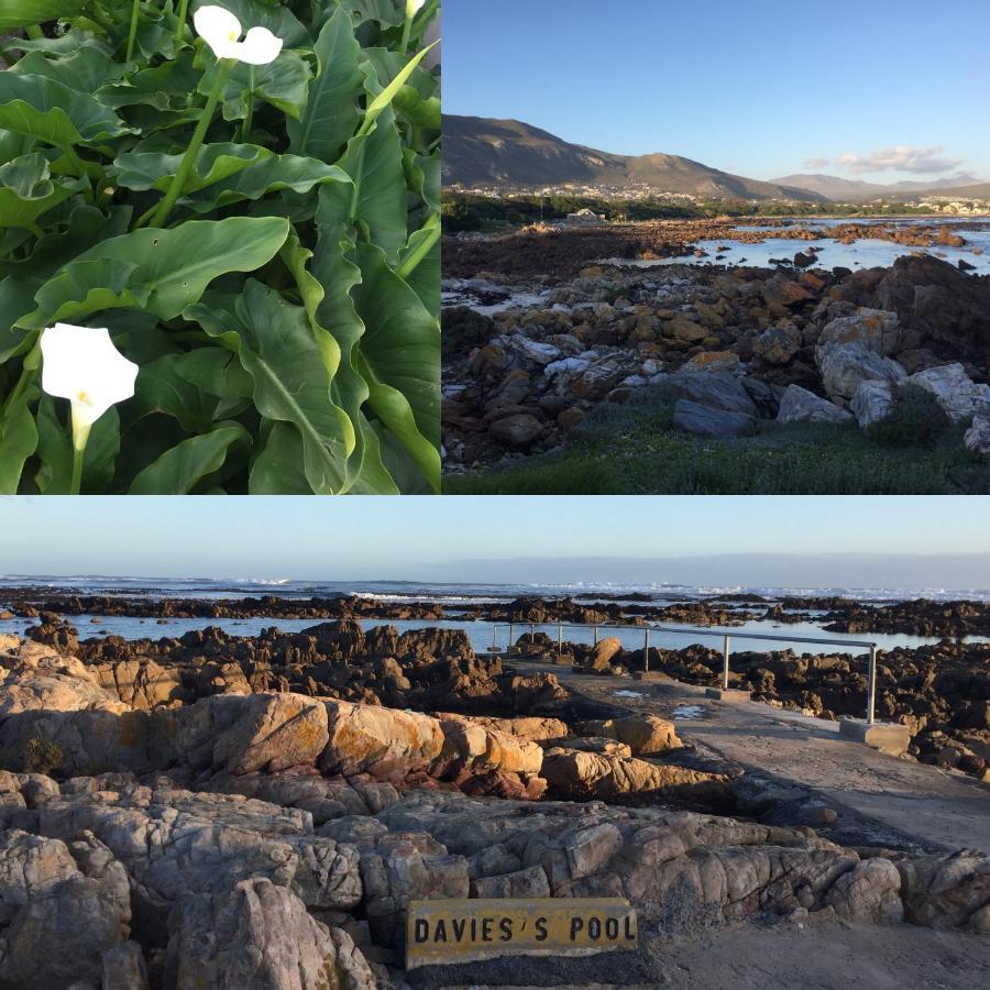 The Missions House Villa Hermanus Exterior photo